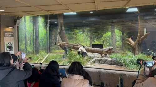 新しいプロジェクト_489879 New_Project_489879