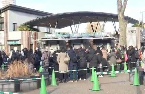 日本で暮らしていたパンダの双子（雄と雌）が最後のお別れを告げる姿が見られ、定員の24.6倍にあたる10万人以上の予約が殺到した。